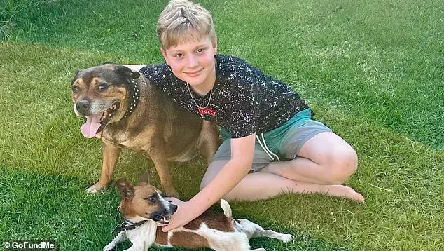 Ich 13-letni syn zmarł nagle na atak astmy: pięć miesięcy później los ponownie dotknął tę australijską parę.